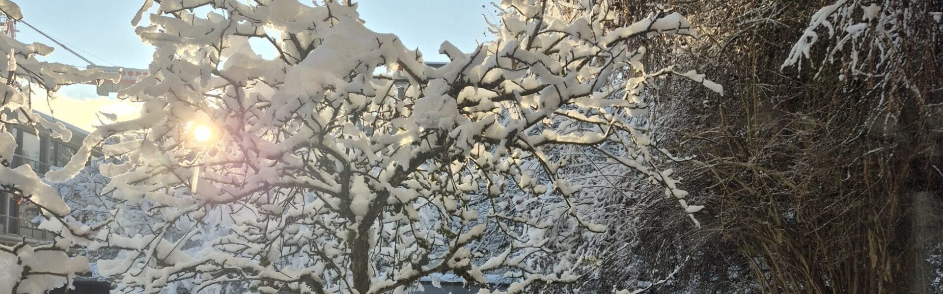 Winter_Schulhaus_2025